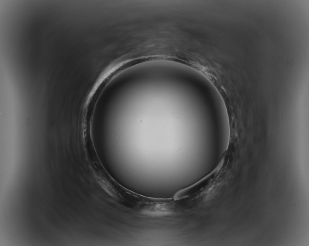 X0000087750056200705071121
