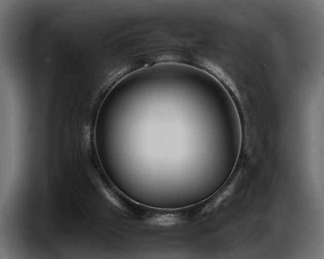 X0000087750057200705071121
