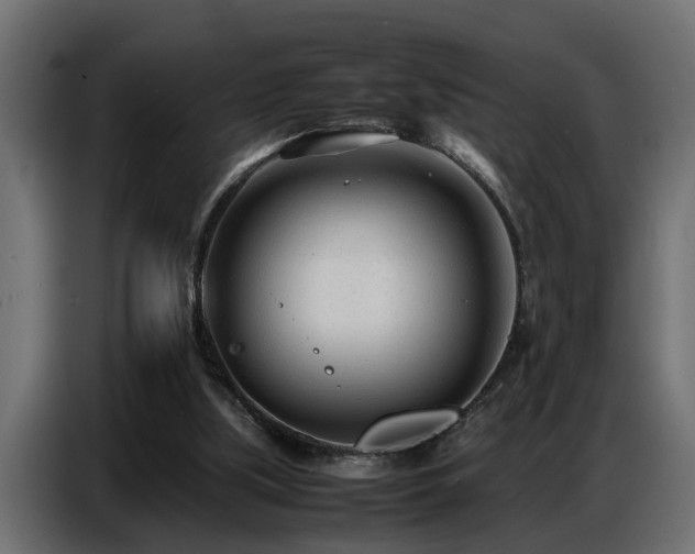 X0000087750059200705071121