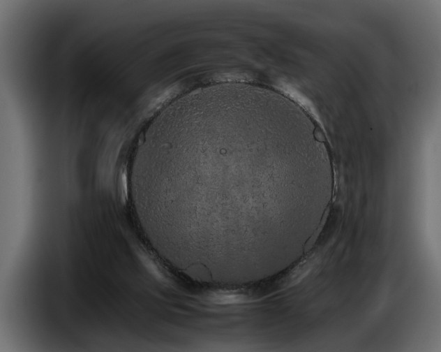 X0000087750061200705071121