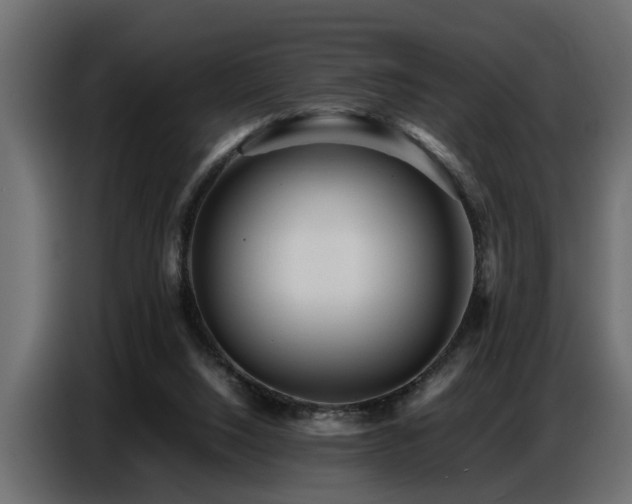 X0000087750064200705071121