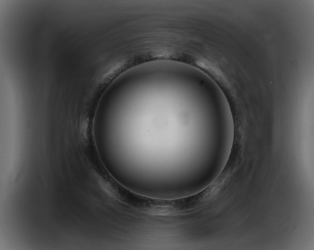 X0000087750066200705071121