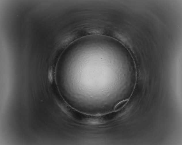 X0000087750069200705071122