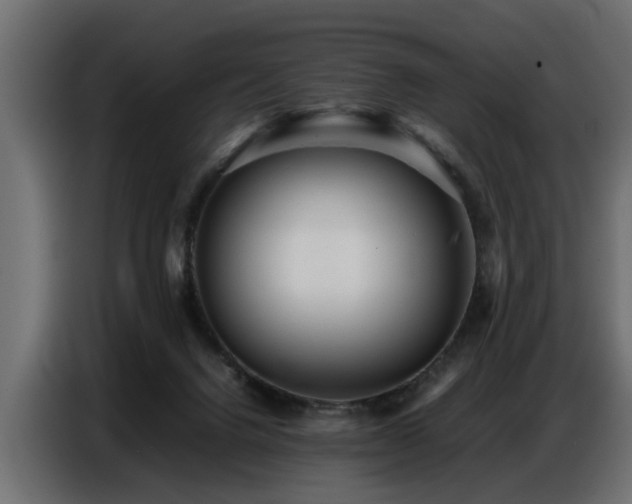 X0000087750072200705071122