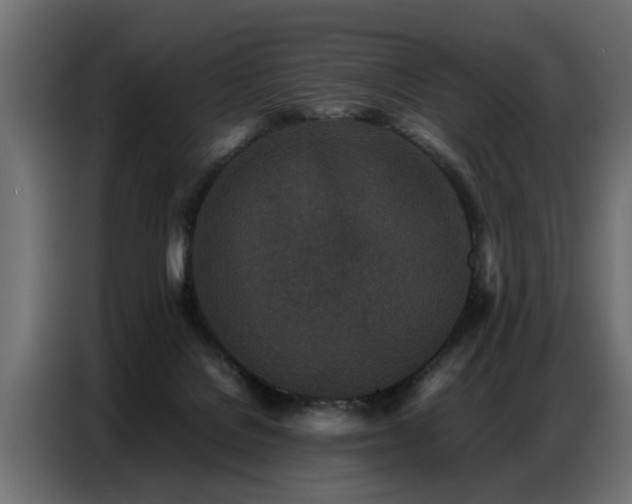 X0000087750076200705071122