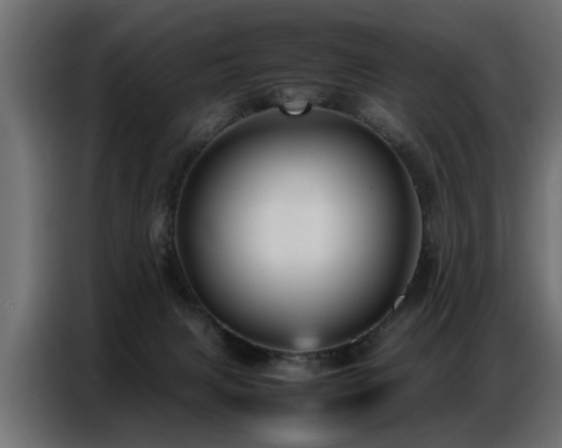 X0000087750079200705071122