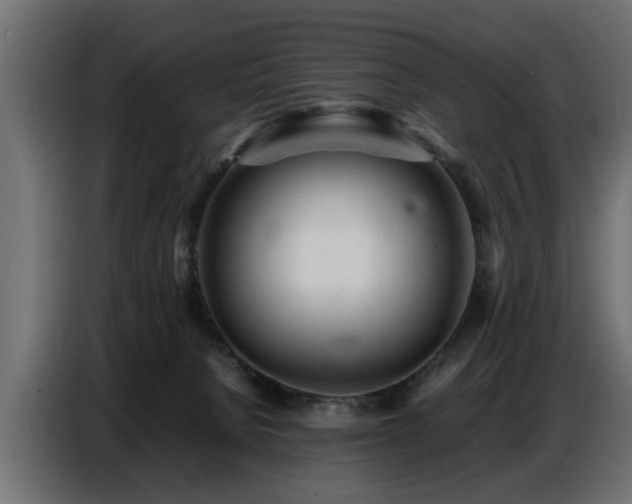X0000087750080200705071122