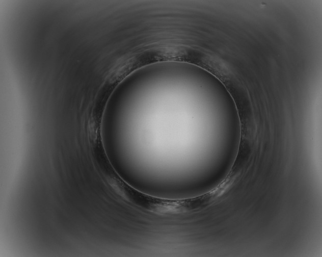X0000087750086200705071122