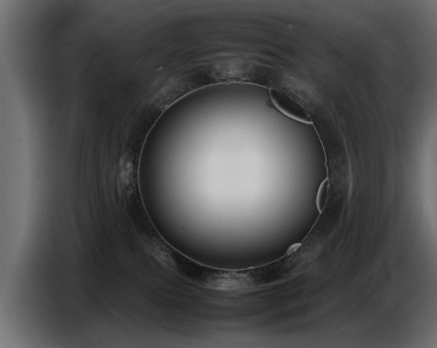 X0000087750087200705071122