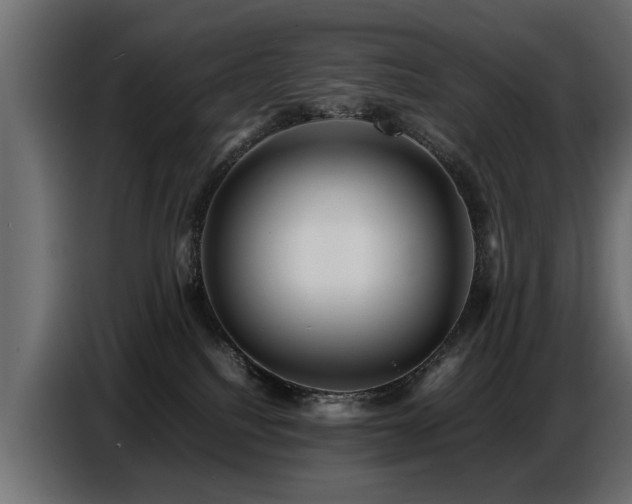X0000087750088200705071122