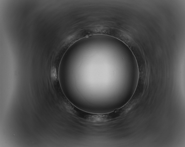 X0000087750089200705071122
