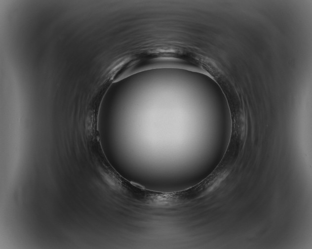 X0000087750092200705071122