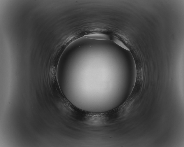 X0000087750093200705071122