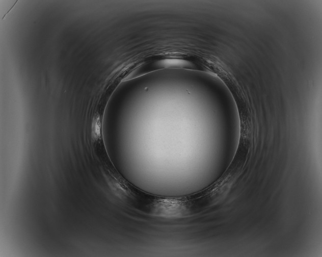 X0000087750095200705071122
