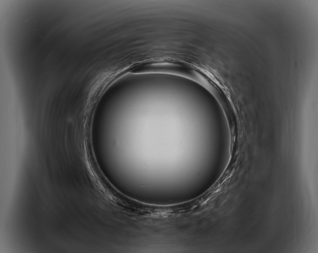 X0000087750097200705071121