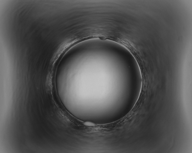 X0000087750098200705071121