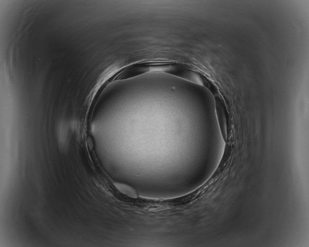 X0000087750099200705071121
