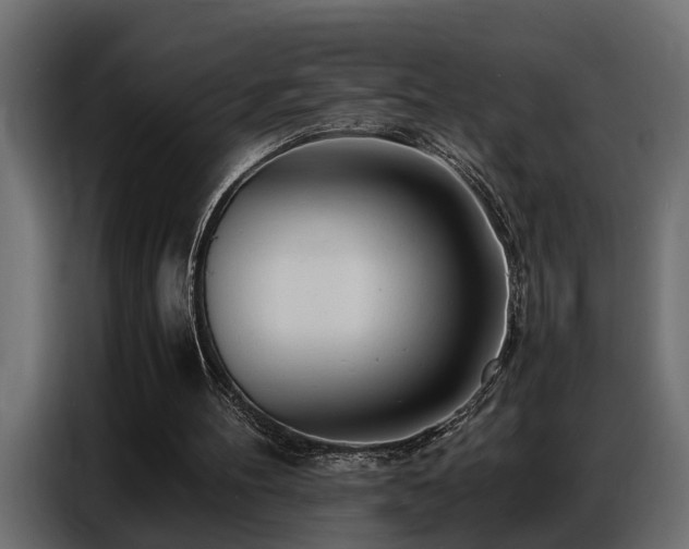 X0000087750100200705071121