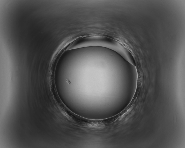 X0000087750101200705071121