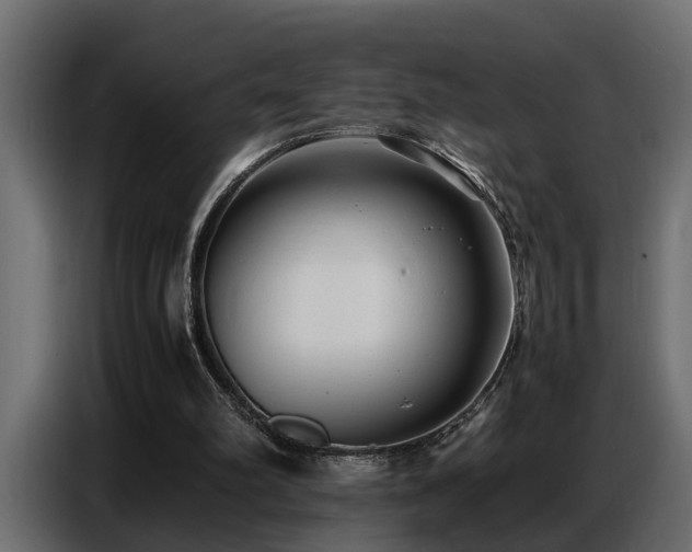 X0000087750102200705071121