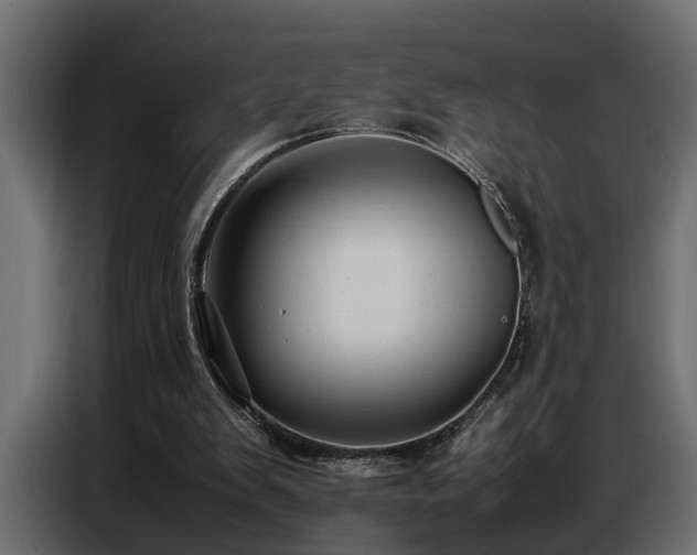 X0000087750103200705071121