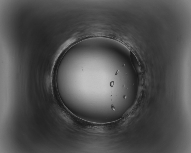 X0000087750104200705071121