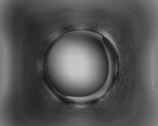 X0000087750105200705071121