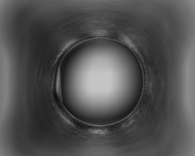 X0000087750106200705071121