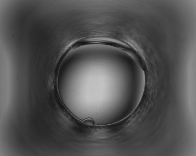 X0000087750107200705071121
