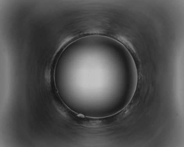 X0000087750108200705071121