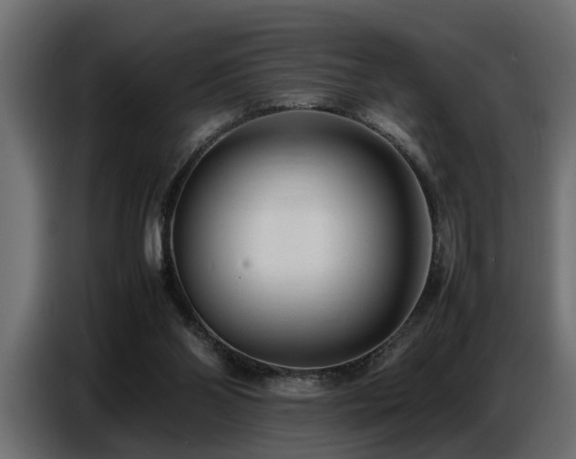 X0000087750110200705071121