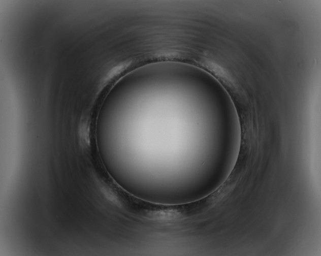 X0000087750112200705071121