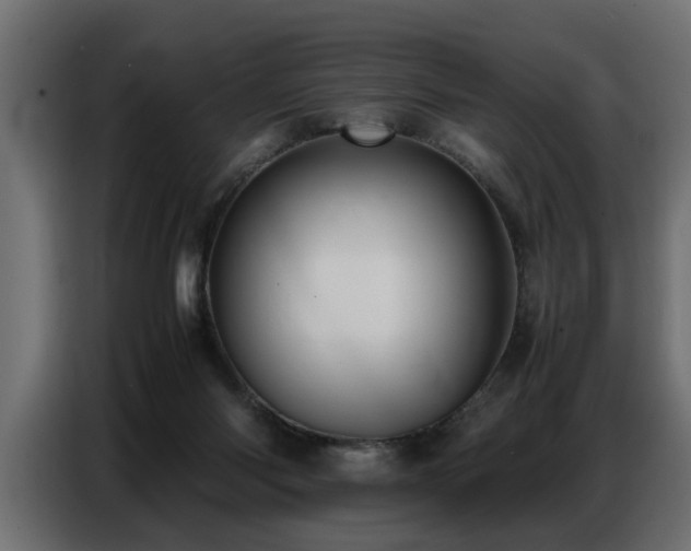 X0000087750118200705071121