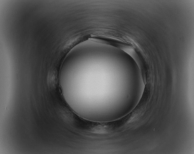 X0000087750119200705071121