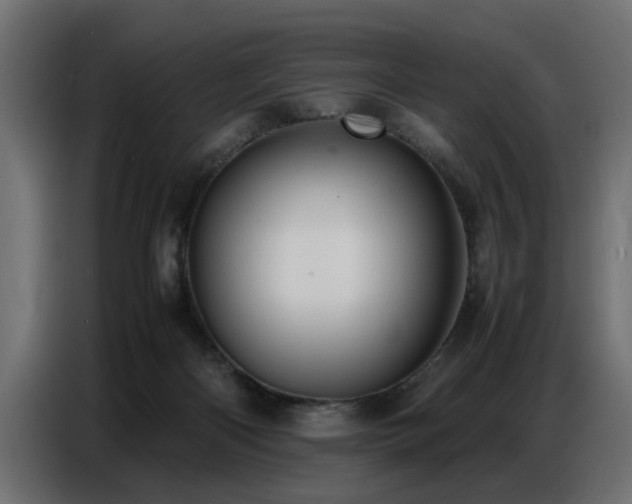 X0000087750122200705071121
