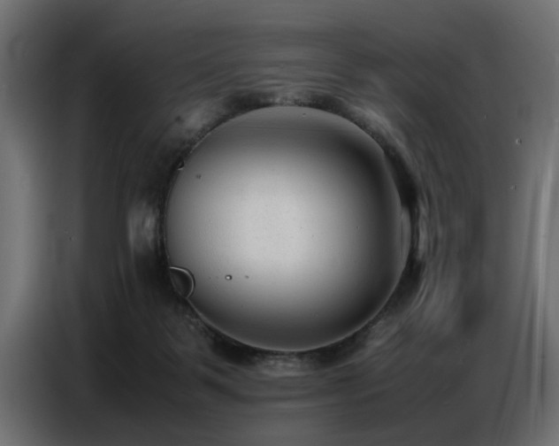 X0000087750123200705071121