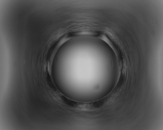 X0000087750125200705071121