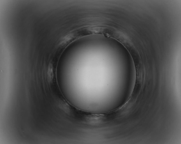 X0000087750128200705071121