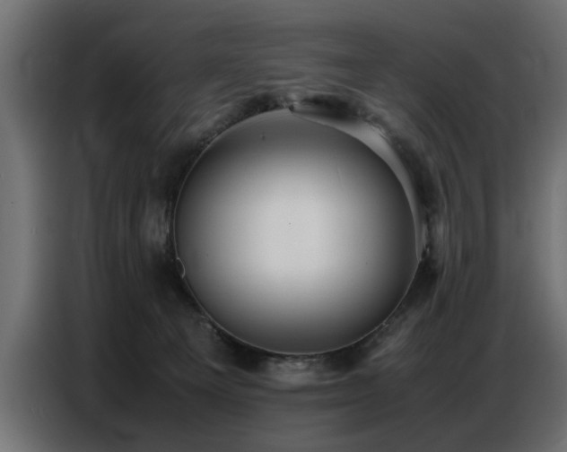 X0000087750129200705071121