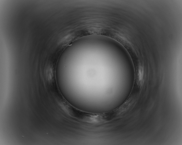X0000087750130200705071121