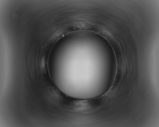 X0000087750132200705071121