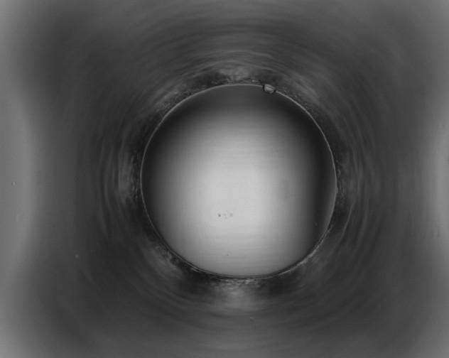 X0000087750136200705071121