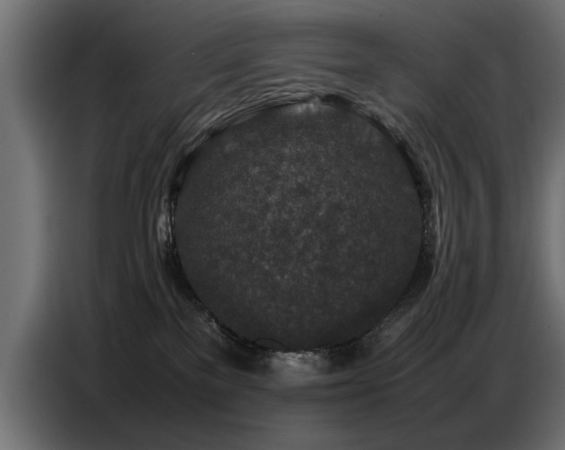 X0000087750137200705071121