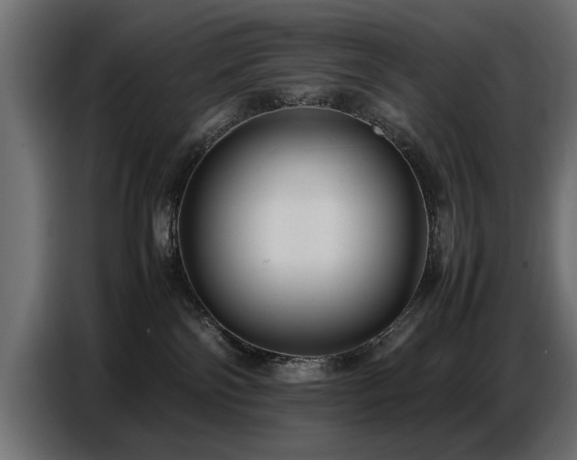 X0000087750138200705071121