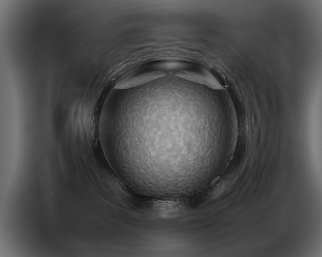 X0000087750139200705071121