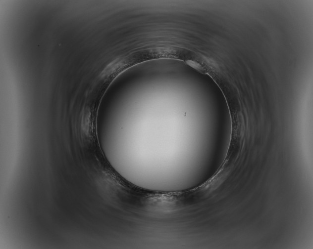 X0000087750140200705071121