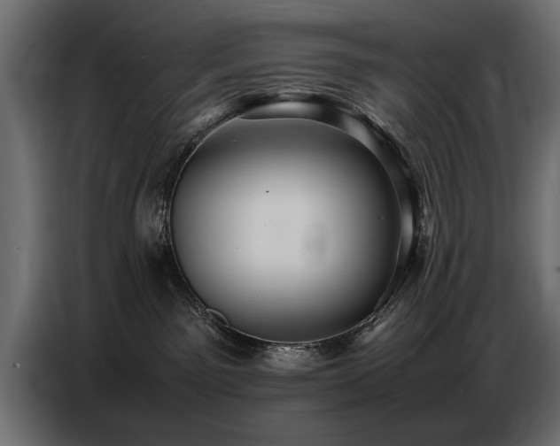 X0000087750141200705071121