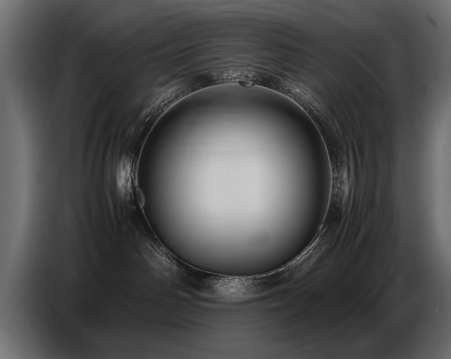 X0000087750142200705071121