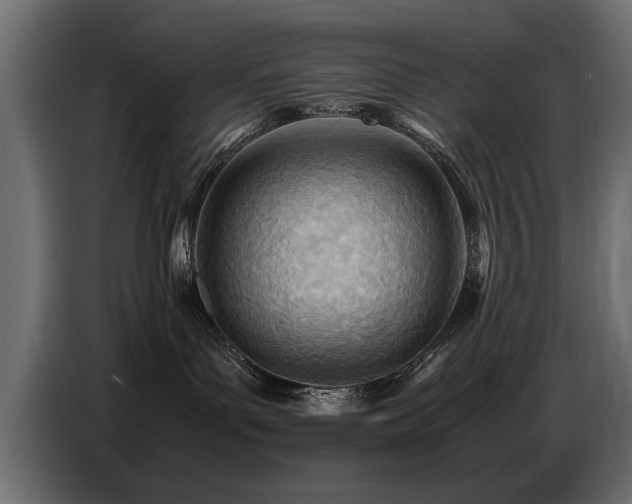 X0000087750143200705071121