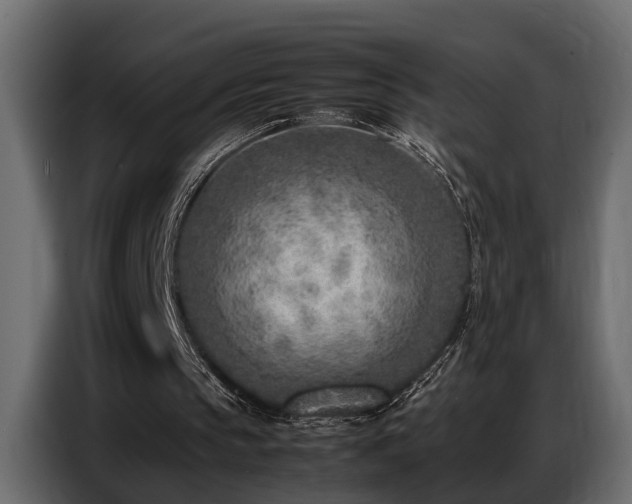 X0000087750145200705071120